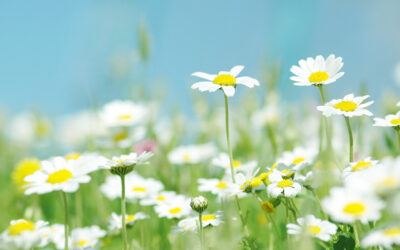 Spring Break Survival Guide: Balancing Kids, Home, and Couple Time! 5 Essential Strategies