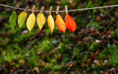 September Reckonings: Navigating Seasonal Changes in Relationships