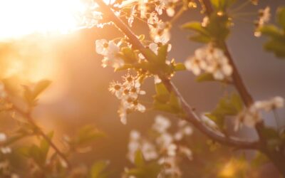 Spring into Better Communication 